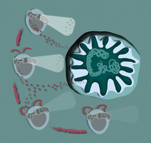 Capture d'écran 2025-02-11 103449