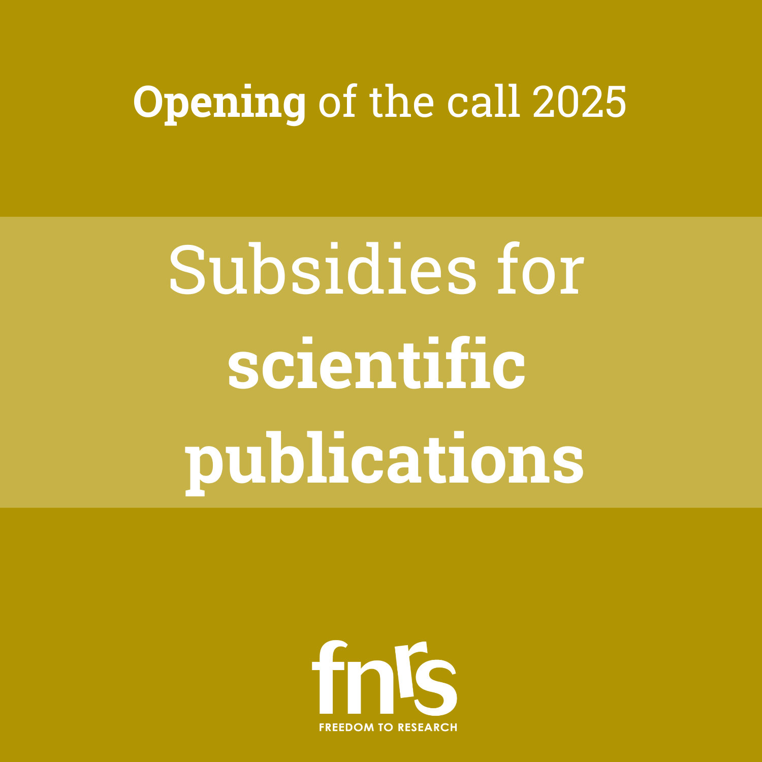 Subsides-call-2025-EN