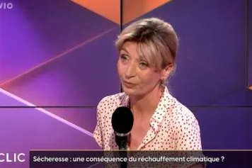 Réchauffement climatique : quelles sont les options ?