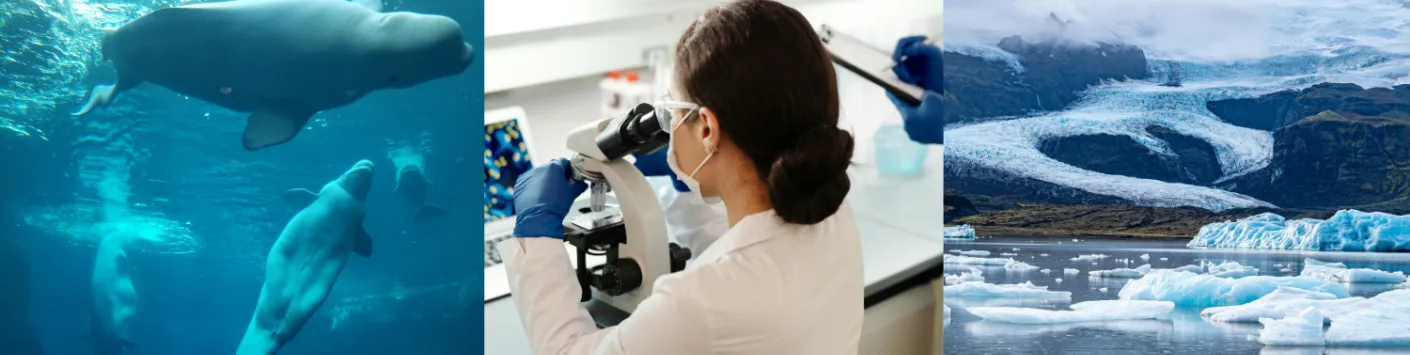 Quebec/Fédération Wallonie-Bruxelles collaboration: six new innovative research projects